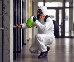 Mold Removal for HVAC Installations in Victor, ID